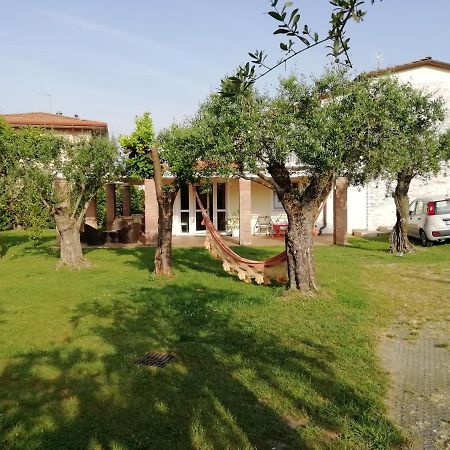 Bed&Breakfast La Zagara Querceta Zewnętrze zdjęcie